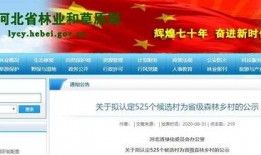 固始新闻爆料网最新公告,重大更新与重要通知速览